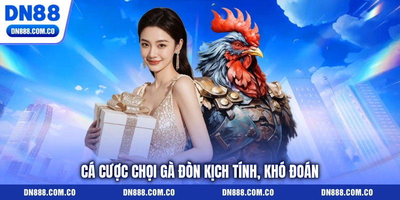 Cá cược chọi gà đòn kịch tính, khó đoán