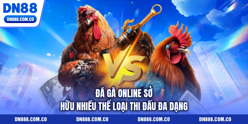 Đá gà online sở hữu nhiều thể loại thi đấu đa dạng